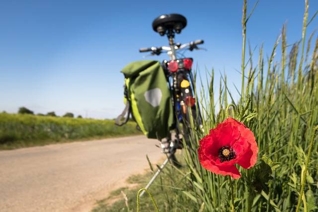 Location de vélos électriques : un service de la Communauté de Communes du Pont du Gard
