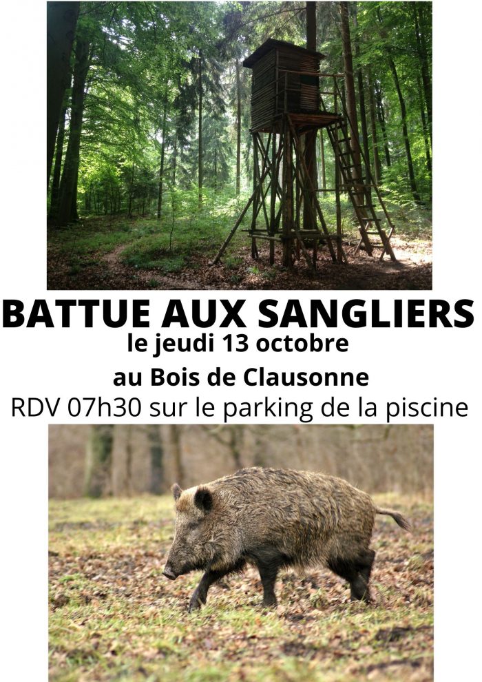 BATTUE AUX SANGLIERS le 13 octobre au Bois de Clausonne Commune de